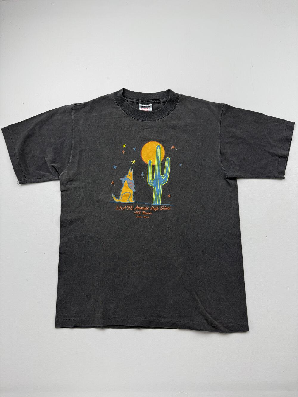 Vintage Oneita Shirt Mens Large Gray SHAPE 1989 Cactus Graphic Tee USA VTG